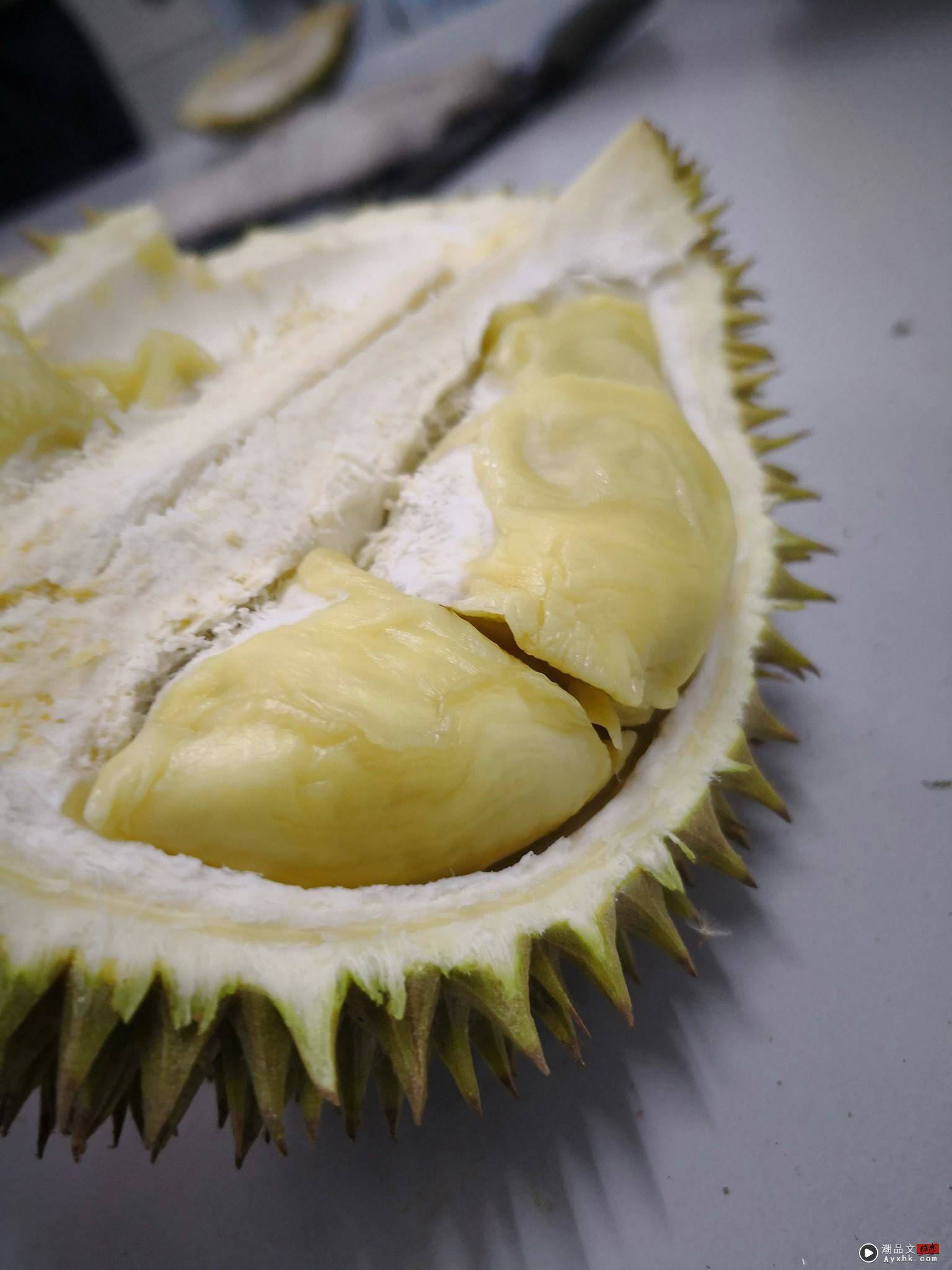 美食 I 榴莲不是只有猫山王才好吃！盘点马来西亚10大品种榴莲 更多热点 图6张
